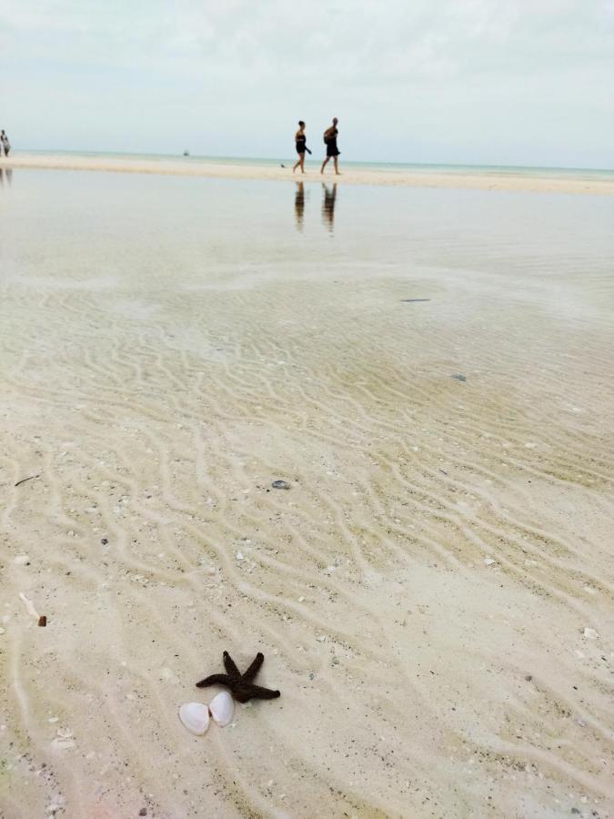 Hotelito Crismi ホルボックス島 エクステリア 写真