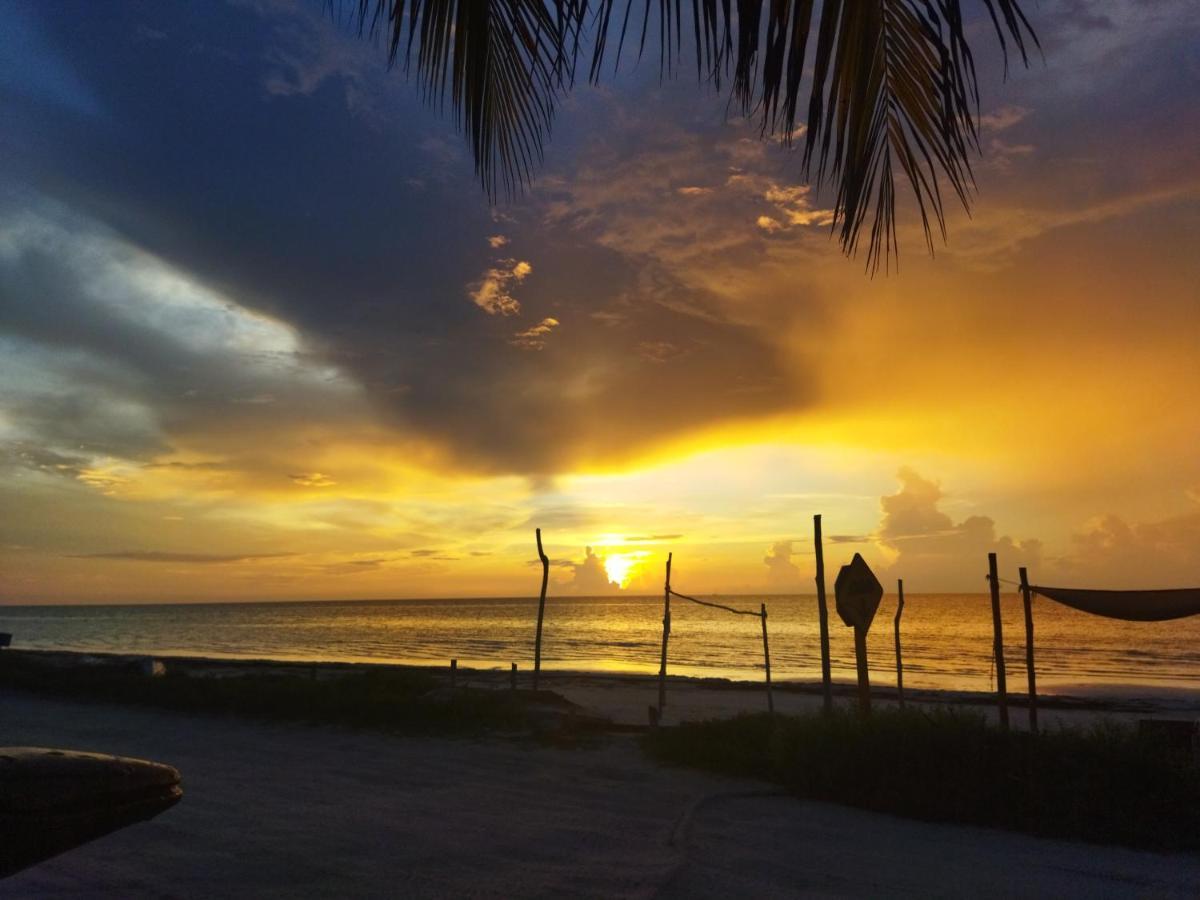 Hotelito Crismi ホルボックス島 エクステリア 写真